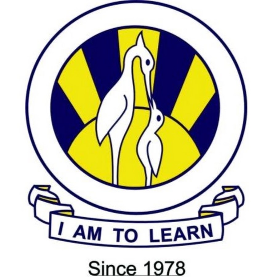 The City School